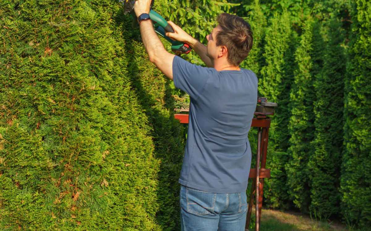 Travail artisanal typique pour Professionnels des espaces verts